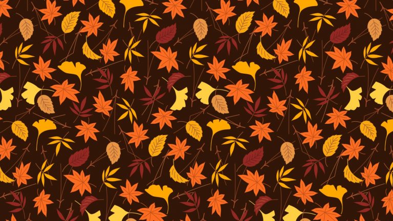 Thanksgiving and fall leaves
