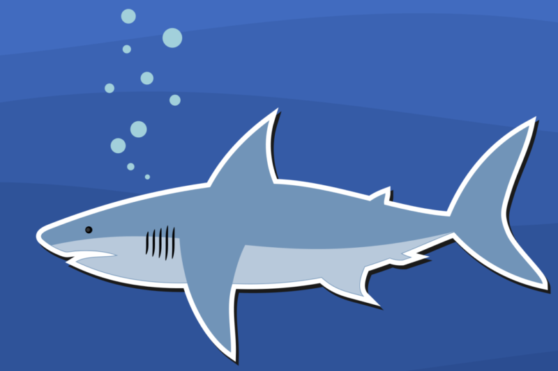Favorite cartoon sharks in honor of Shark Week