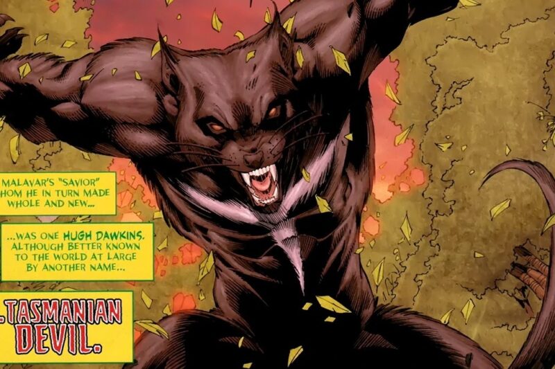 Minorities in cartoons: Tasmanian Devil (DC Comics)