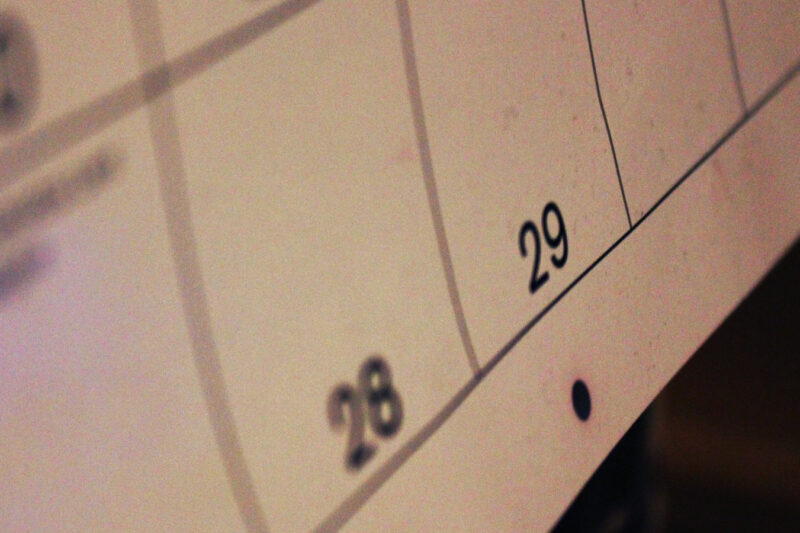 Leap Day in cartoons