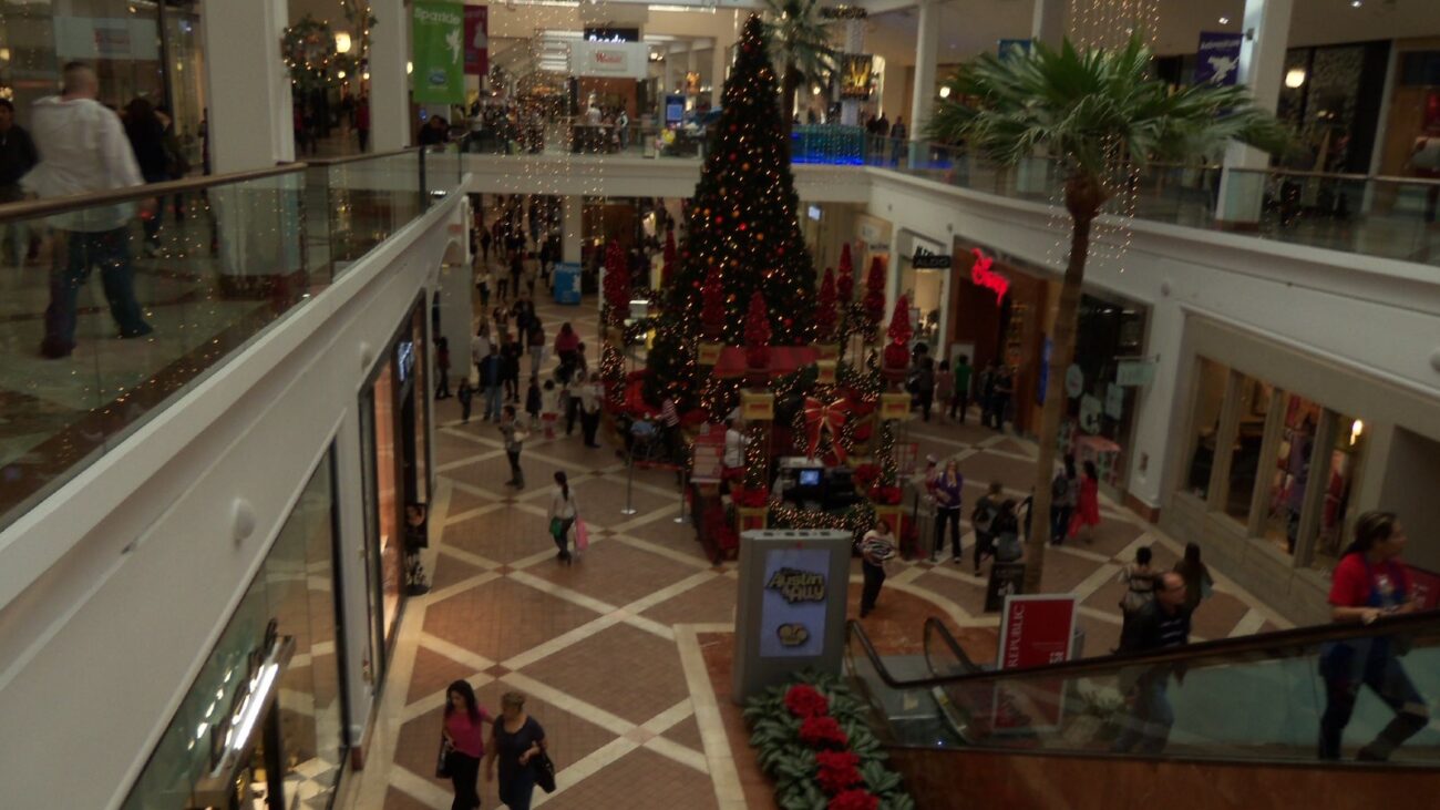 Black Friday at a mall