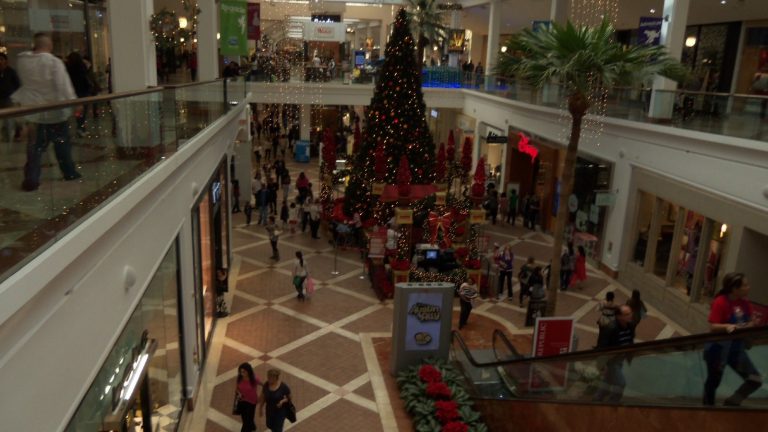 Black Friday at a mall
