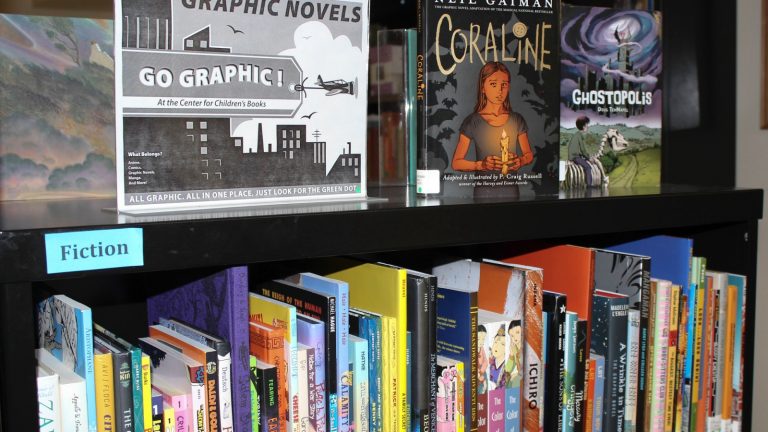 Graphic novels at library