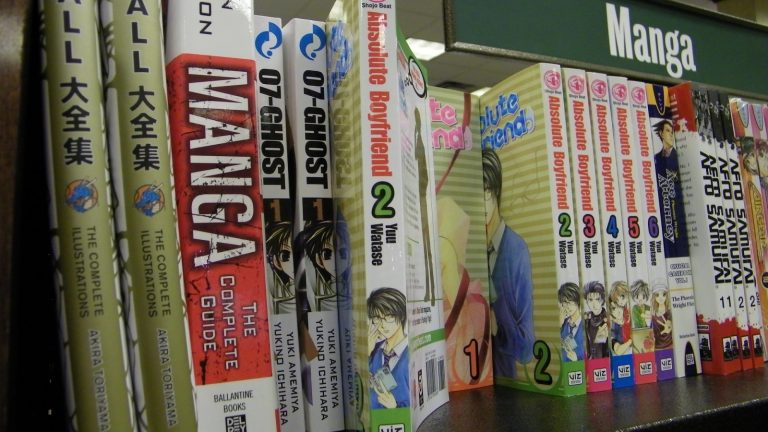 Manga at Barnes and Noble