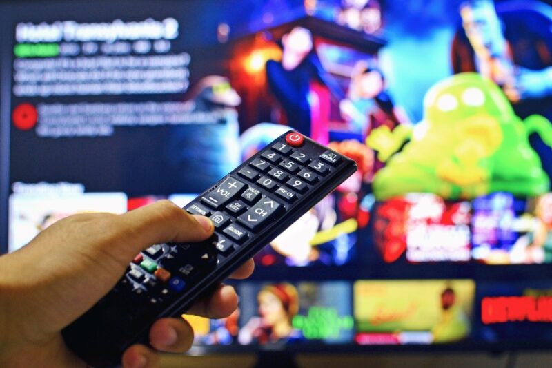 Netflix streaming service playing Hotel Transylvania