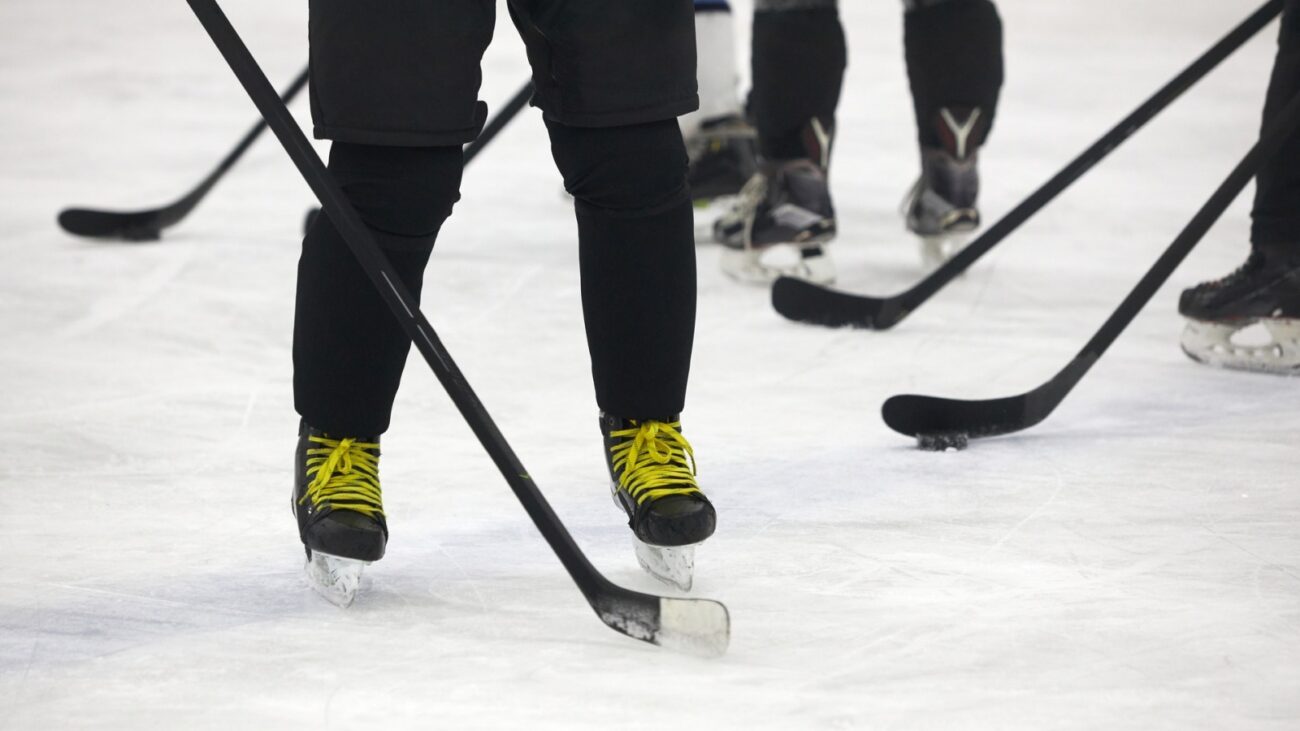Hockey sticks