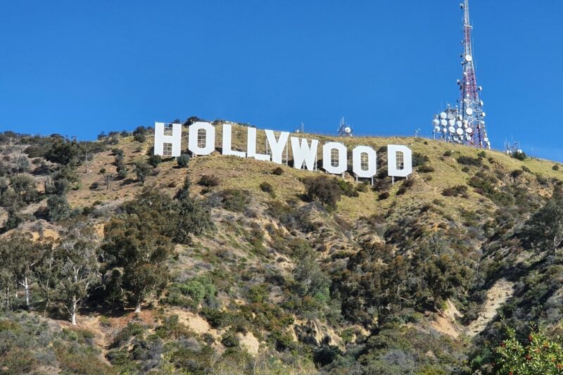 Media companies that still support DEI (and alternatives to ones that don’t)