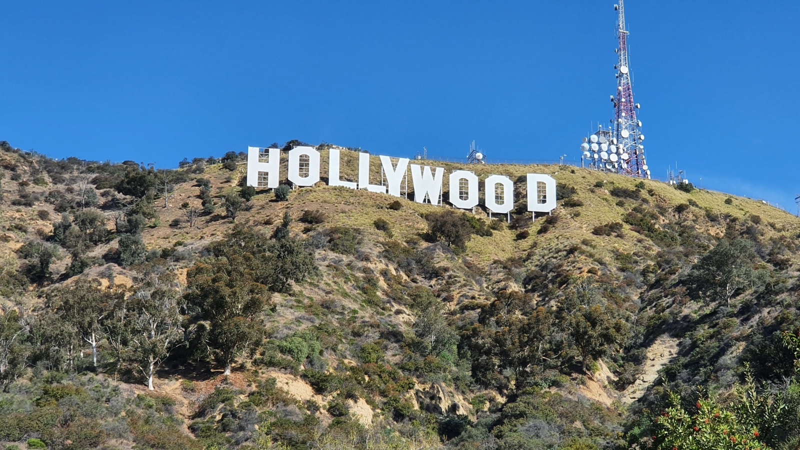 Hollywood sign