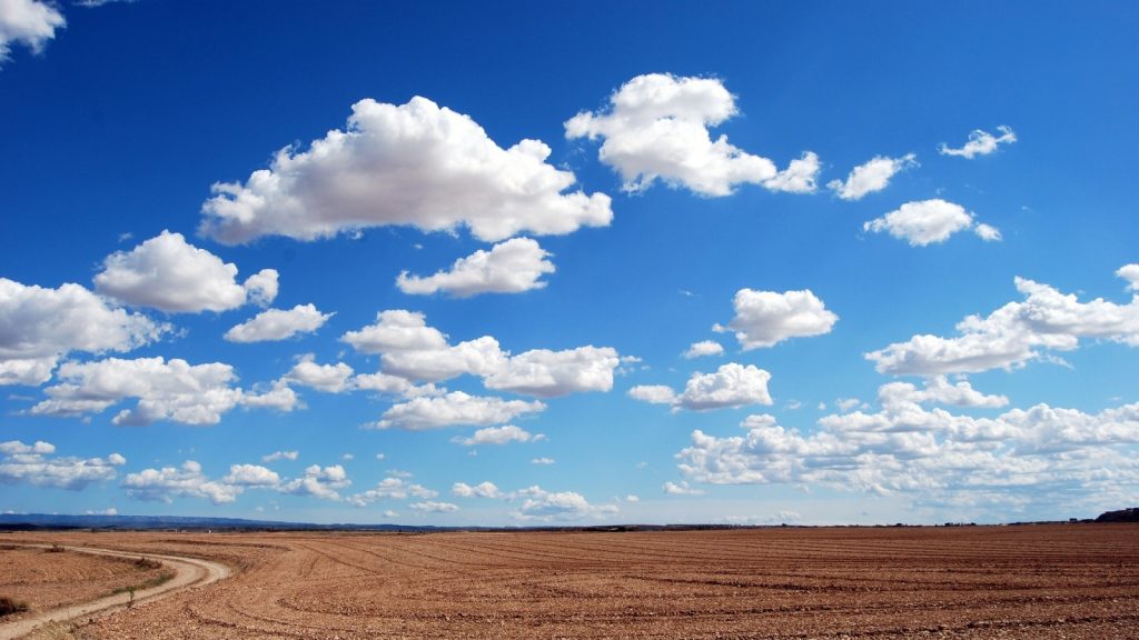 Field and sky