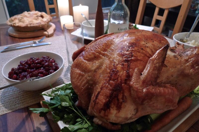 Thanksgiving in cartoons