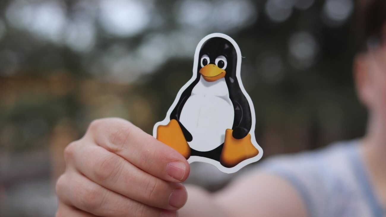 Recommended Linux distros | Diverse Tech Geek