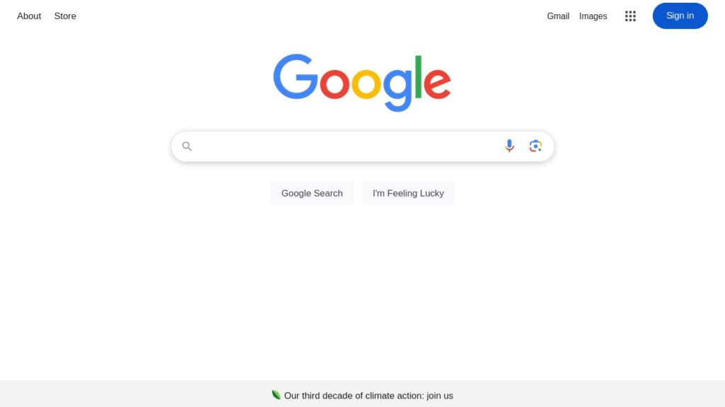 Google search page