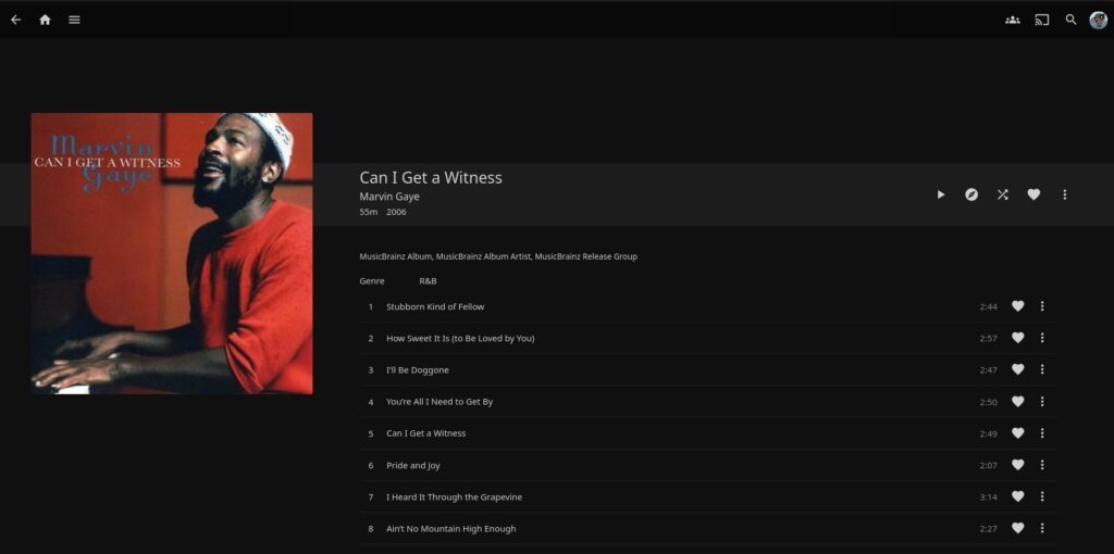 Marvin Gaye songs on Jellyfin